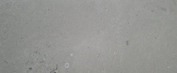 Pony Grey Marble